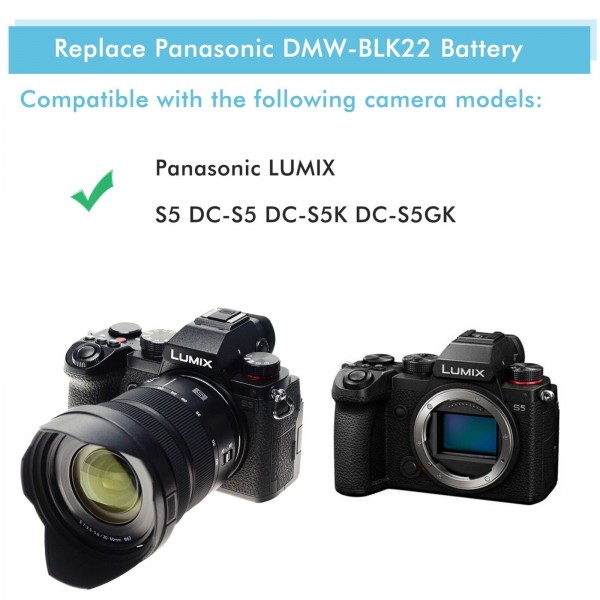 Τροφοδοτικό ρεύματος για κάμερες Panasonic LUMIX με μπαταρίες BLK22