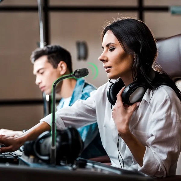 Μικρόφωνο Gooseneck  XLR για Studio και Ενδοεπικοινωνία 