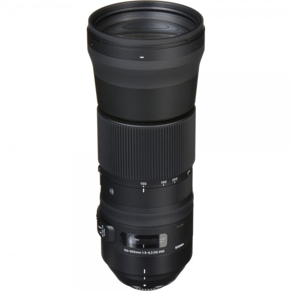 Sigma 150-600mm f/5-6.3 DG OS HSM Contemporary Lens and TC-1401 1.4x Teleconverter Kit for Nikon F