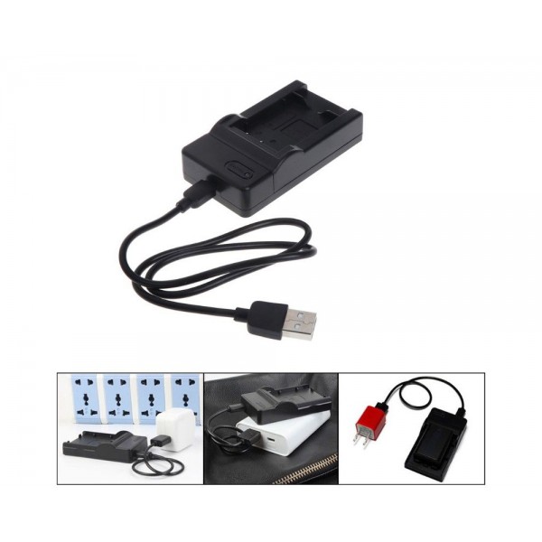 USB Traveler Charger for Sony NP Batteries